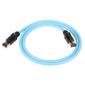 Câble de patch Ethernet Cat5e et Cat6