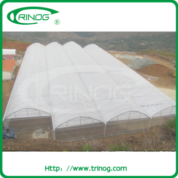 Large size film cover arch pipes greenhouse