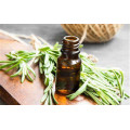 Rosemary + Essential + Oil Pure &amp; Natural