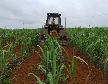 Agricultural mini grass weeding machine Garden grass Cutter