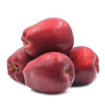 Gansu Red Fuji Apple