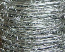 Galvanized Barbed Iron Wire