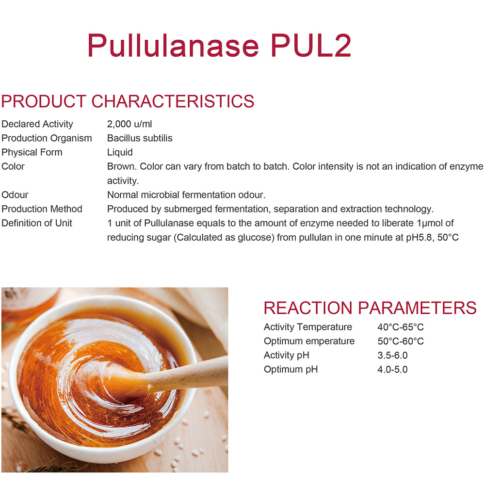 إنزيم pullulanase لصناعة الكحول