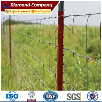 Diamond studded t post fence/metal t bar fence post