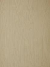 decorative  laminates manufactures