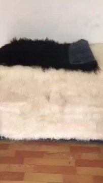 China factory Wholesale Long Hair natural mongolian fur white Tibetan Lamb Fur Plate for garment