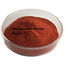Buy Online Haematococcus Pluvialis Extract Powder Price