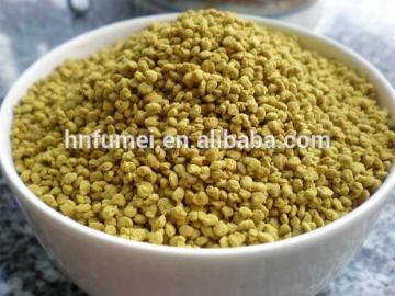 Pure Rape flower bee pollen factory price