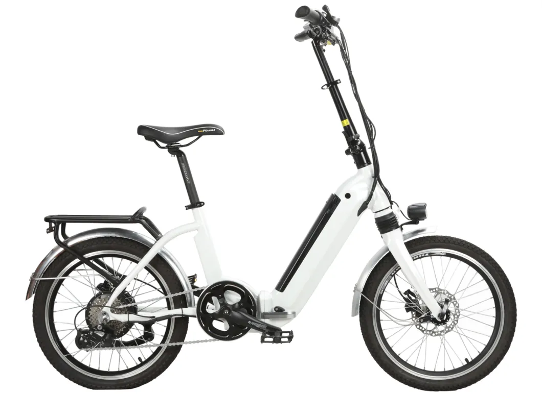 EU Standard Electric Folding Bike 350W/ 20inch Mini Electric Bicycle