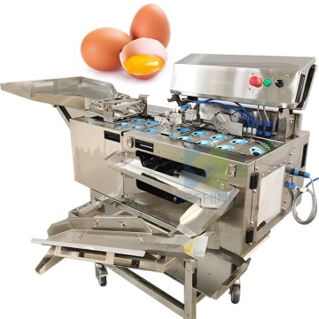 Electric Egg Yolk Separator for Fresh Eggs