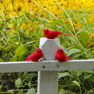 Decoración de mini pájaro