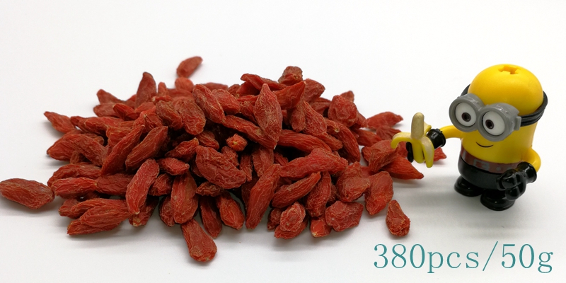 380 Organic Goji Berry