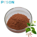 Cinnamon Bark Extract Powder 30%