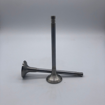 Factory Price Engine Valves for VW Touareg Q7 3.0T TDI Diesel