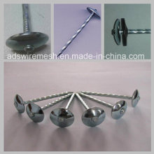Polished Roofing Nails with Umbrellar Head (ISO9001)