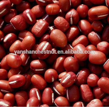 Healthy and Delicious Top Quality Small Red Beans