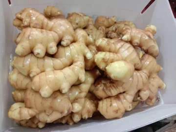 Fresh Ginger Carton Packing