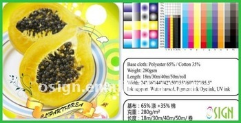 Printable fabric canvas