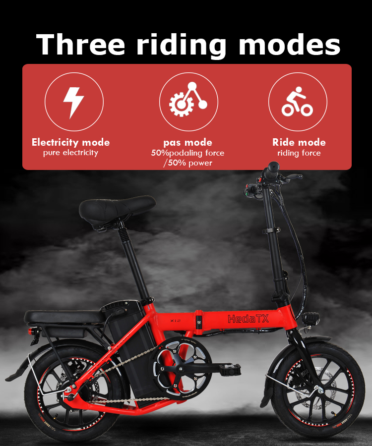 Electric Folding Bike