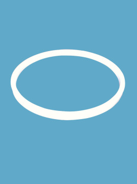 PCTFE Ring