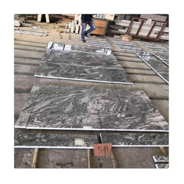 Petrified Wood Granite Kuppam Green Slabs for Kitchen Countertops