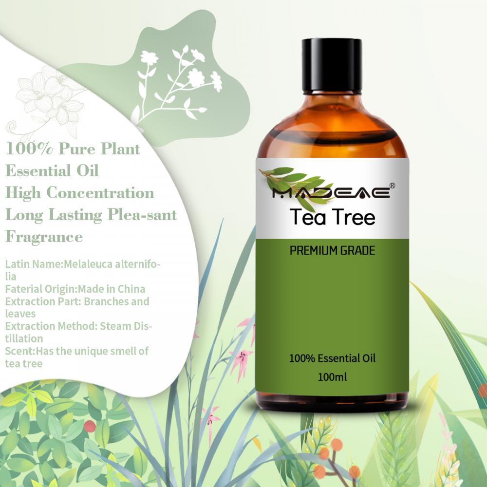 100 ٪ ارگانیک طبیعت خالص تقطیر بخار چای درخت اسانس برای پوست مو و ناخن ها آروماتراپی