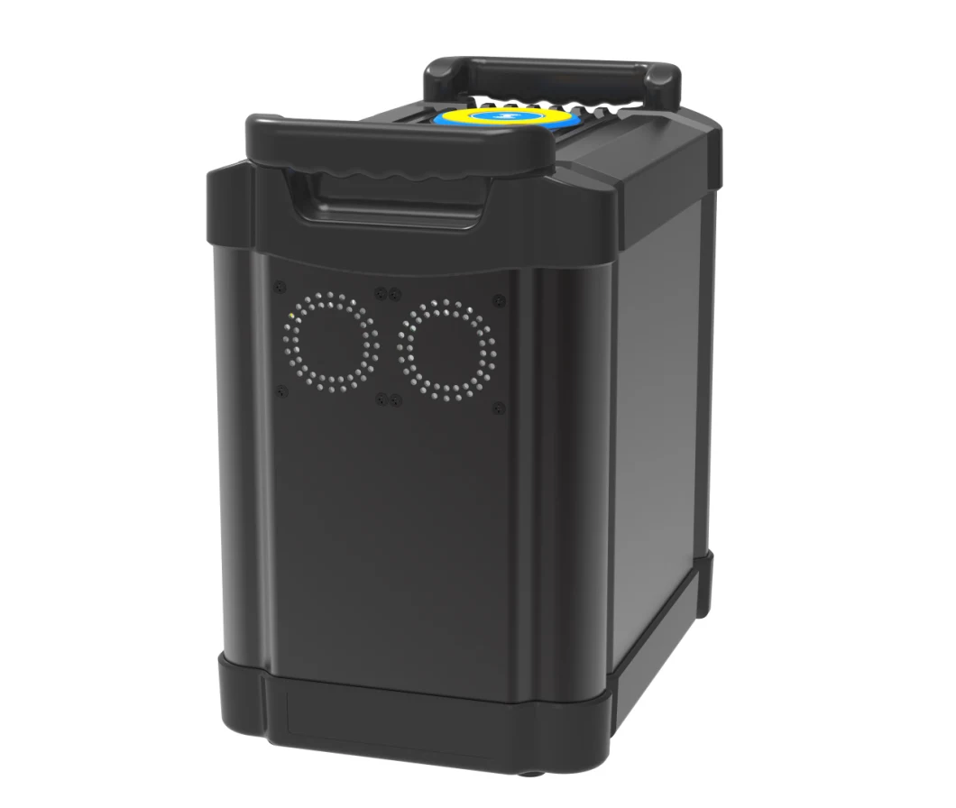 Customized LFP Lithium Battery