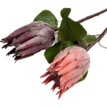 Silk Protea Flower Branch for Wedding Floral Decoration