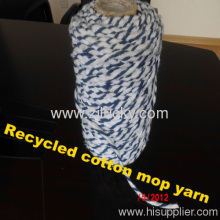 Mixed Colored Mop Yarn?