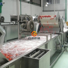 Automatic Large Capacity Tomato Processing Machine