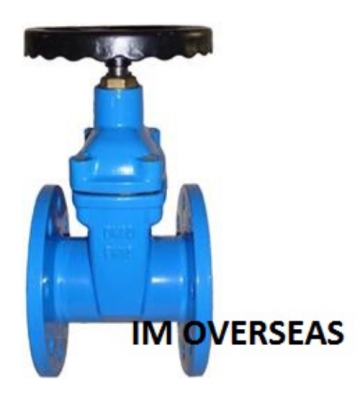 Cast Iron /Ductile Iron Gate Valves