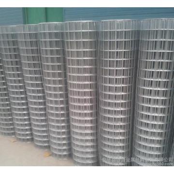 Galvanized Welded Wire Mesh