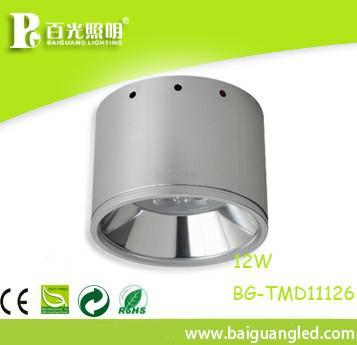 Cheap and high quality LED Downlight 12W