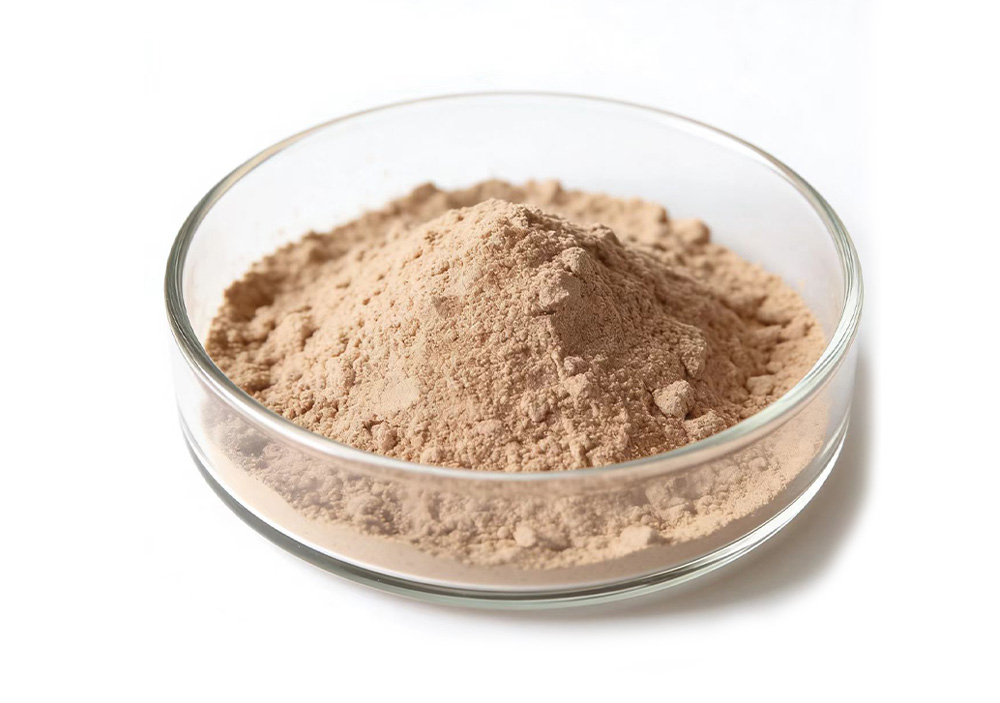 aditivo alimentario06-y feed additive06-y