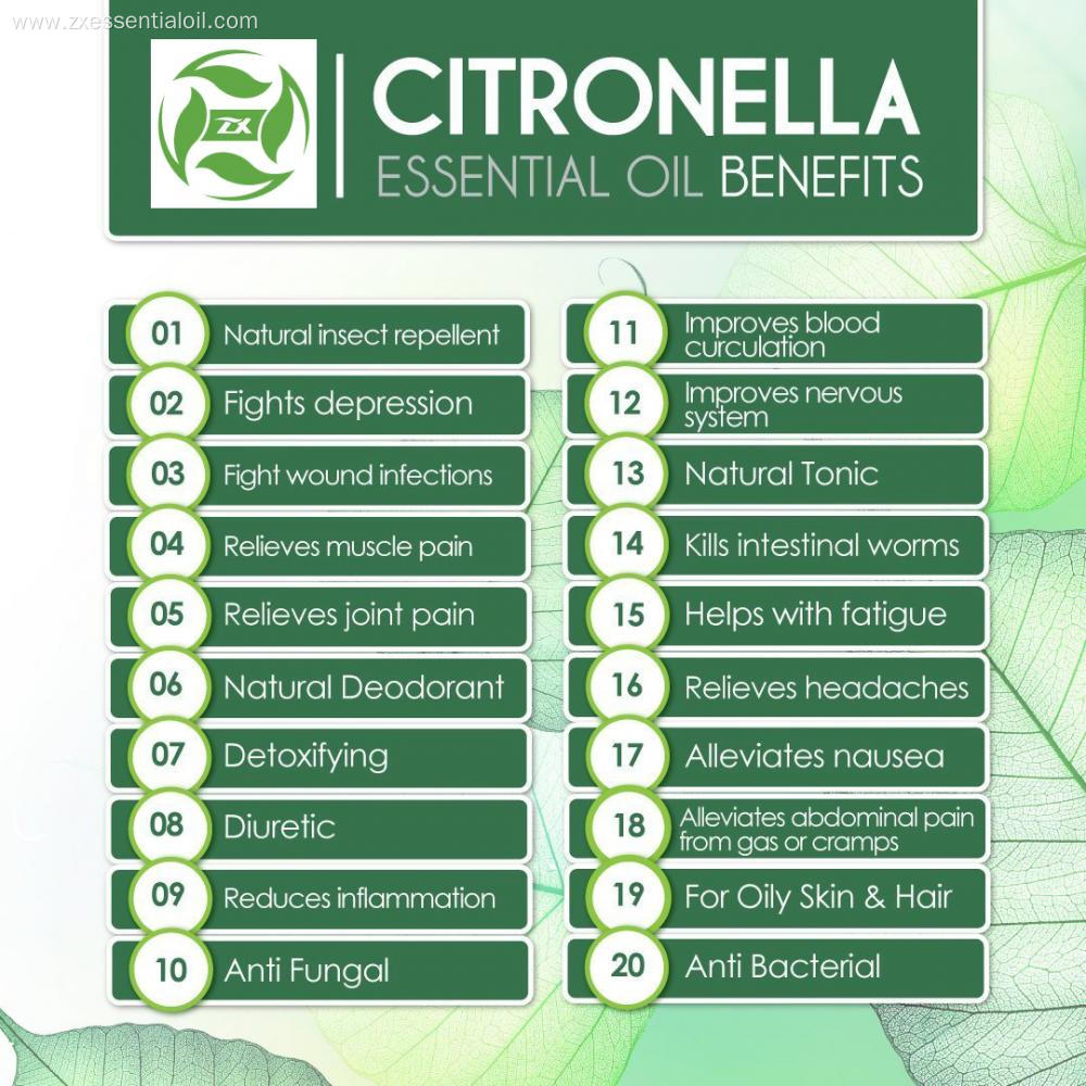 Organic bulk oil wholesale citronella oil