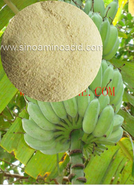 Amino Acid Powder Organic Fertilizer Agriculture Fertilizer