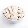 White Skin Snow 13 CM Pumpkin Seed