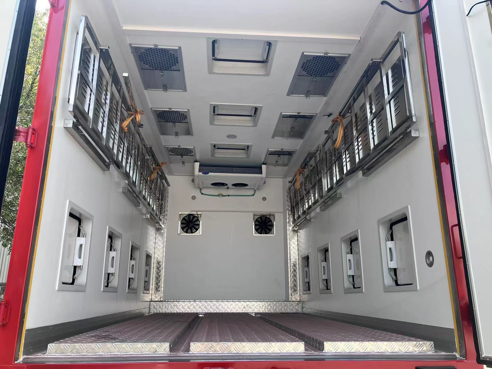 Carrier de pollitos (5) Baby Chick Carrier (5)