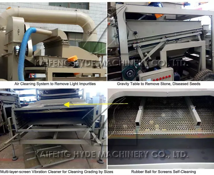 Rice Wheat Maize Seed Cleaning Machine Seeds Grains Processing