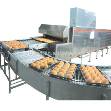 Bread Factory Automatic Bread Line / Hamburger Bread Production Line