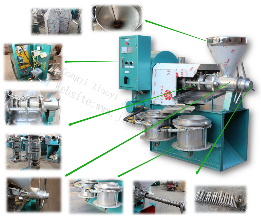 Mini máquina de prensa de aceite orgánico Mini Organic Oil Press Machine