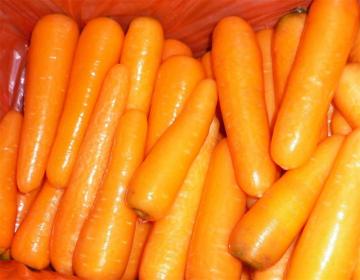 Delicious fresh carrots 2019