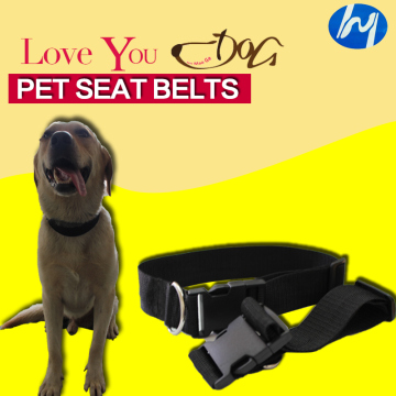 Nylon Customised Pet Collar/ Dog Collar / Pet Products