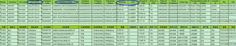 Import Customs Data