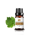 Best Price Natural essential oil Patchouli oil