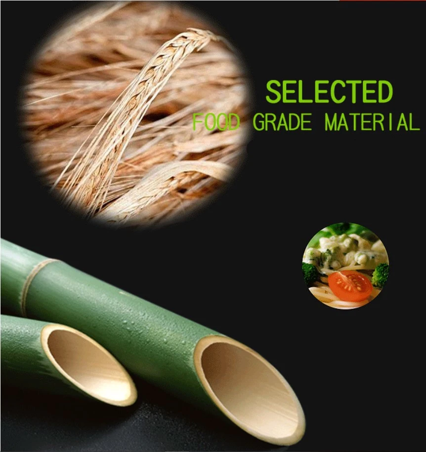 Eco - Friendly Sugarcane Disposable Round Shape Plates Paper Lunch Tray