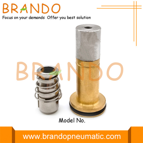 LPG CNG Automobile Flange Brass Pluger Armature Assembly