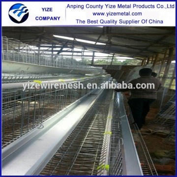 china alibaba automatic layer chicken hen house for 500 chickens