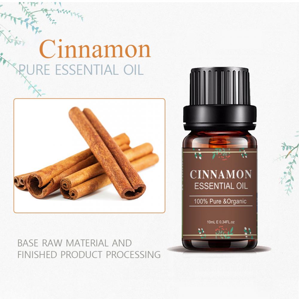 Label Pribadi Minyak Esensial Cinnamon untuk Penurunan Berat Badan
