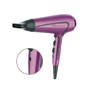 Intelligent temperature control technology hotel hair dryer